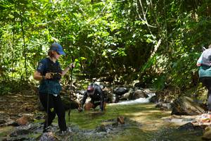 BIB: 
                            <button type="button" onclick="openModal(21843454)" class="btn btn-primary btn-sm float-right btn-popup" data-toggle="modal" data-target=".modal-high-quality">
                        <i class="fas fa-shopping-cart"></i> Add to Cart
                    </button>
                                            <button type="button" onclick="isThisMe(21843454, true)" class="btn btn-success btn-sm float-right btn-popup btn-isme hidden" data-toggle="tooltip" data-placement="bottom" title="นี่คือรูปของคุณใช่ไหม คลิกที่นี่เพื่อเอาเข้าอัลบั้ม">
                        <i class="fas fa-plus"></i> Add to album
                    </button>
                    <button type="button" onclick="isThisMe(21843454, false)" class="btn btn-warning btn-sm float-right btn-popup btn-isnotme hidden">
                        <i class="fas fa-ban"></i> Remove from album
                    </button>